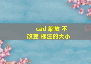 cad 缩放 不改变 标注的大小